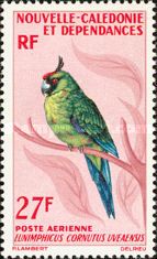 Ouvea Parakeet (Eunymphicus cornutus uveaensis)