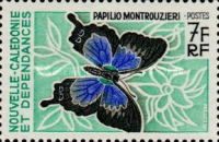 Swallowtail (Papilio montrouzieri)