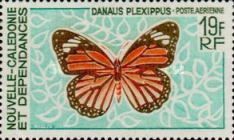 Monarch Butterfly (Danaus plexippus)