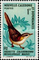 New Caledonian Grassbird (Megalurulus mariei)