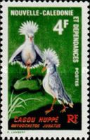 Kagu (Rhynochetos jubatus)
