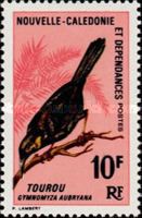 Crow Honeyeater (Gymnomyza aubryana)