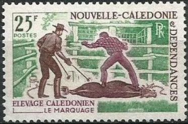Caledonia Livestock