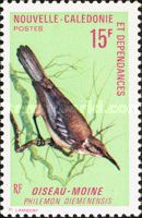 New Caledonian Friarbird (Philemon diemenensis)