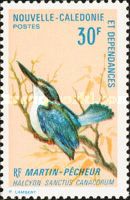 New Caledonian Sacred Kingfisher (Halcyon sanctus canacorum)