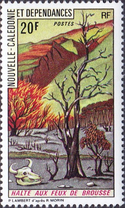Nature Conservation. Stop Bush Fires