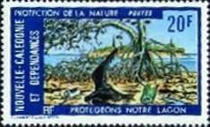 Nature Conservation. Lagoon