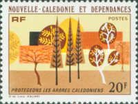 Tree Protection