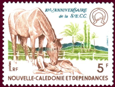 Mare with Foal (Equus ferus caballus)