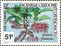 Geissoïs pruinosa