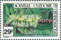 Melaleuca quinquenervia