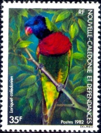 Coconut Lorikeet (Trichoglossus haematodus)