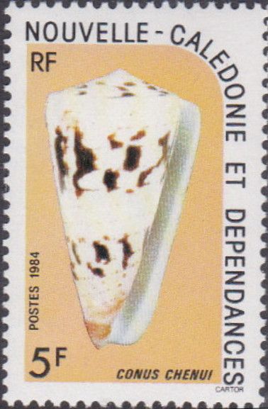 Cone (Conus chenui)