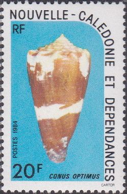 Cabrit's Cone (Conus optimus)