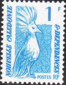 Kagu (Rhynochetos jubatus)