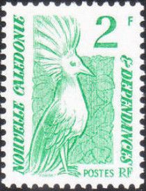 Kagu (Rhynochetos jubatus)