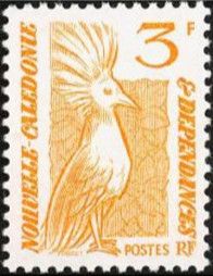 Kagu (Rhynochetos jubatus)