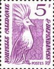 Kagu (Rhynochetos jubatus)