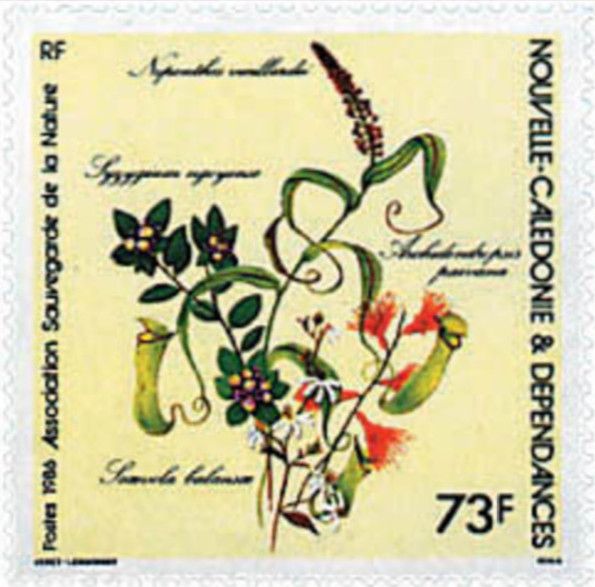 Association "Nature and Environment". Typical Plants