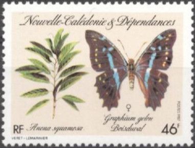 Annona squamosa and Graphium gelon