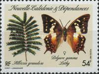 Albizia granulosa and Polyuria gamma