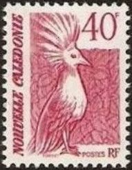 Kagu (Rhynochetos jubatus)
