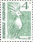 Kagu (Rhynochetos jubatus)