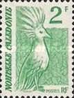 Kagu (Rhynochetos jubatus)
