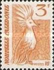 Kagu (Rhynochetos jubatus)