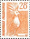 Kagu (Rhynochetos jubatus)