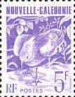 Kagu (Rhynochetos jubatus)