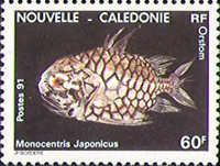 Pineconefish (Monocentris japonicus)