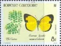 Phillantus sp., Eurema hecabe ssp. novaecaledoniae