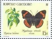 Pipturus incanus, Eight-Spot Butterfly (Hypolimnas octocula)