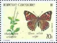 Nettleleaf Velvetberry (Stachytarpheta urticoefolia), Meadow
