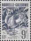 Kagu (Rhynochetos jubatus)