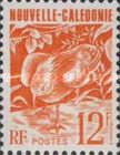 Kagu (Rhynochetos jubatus)