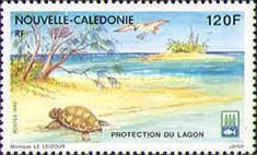 Protection of the Lagoon