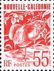 Kagu (Rhynochetos jubatus)