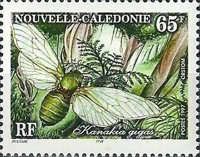 Cicada (Kanakia gigas)
