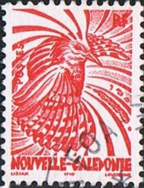 Kagu (Rhynochetos jubatus)