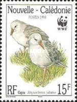 Kagu (Rhynochetos jubatus)