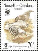 Kagu (Rhynochetos jubatus)