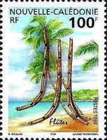 Flûtes