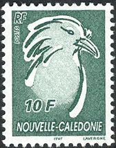 Kagu (Rhynochetos jubatus)