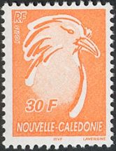 Kagu (Rhynochetos jubatus)