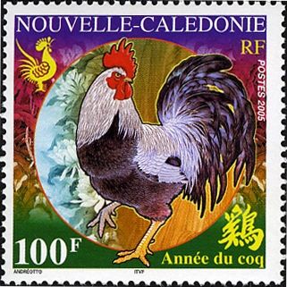 Rooster (Gallus gallus domesticus)