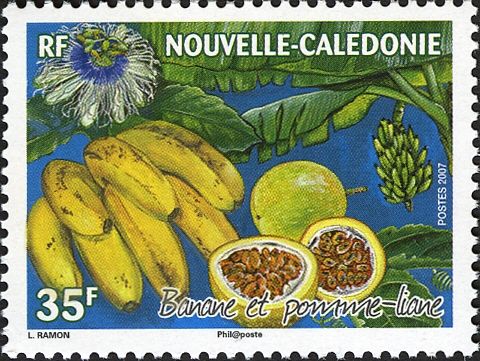 Banana and apple-vine