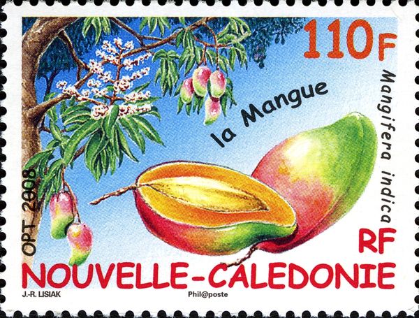 Mango