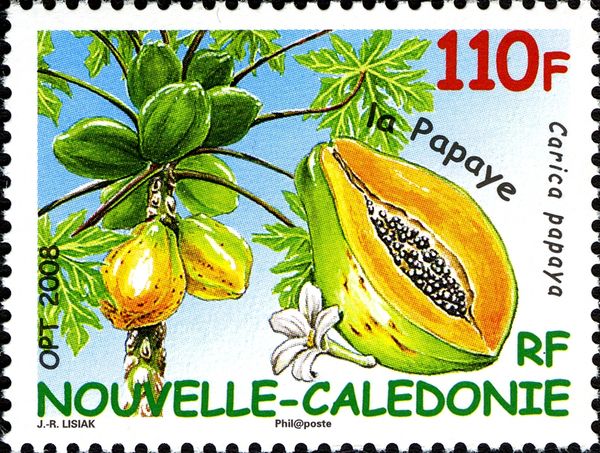 Papaya